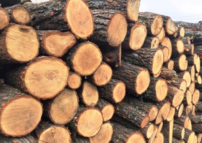 Керівника Запорізького підрозділу Міноборони підозрюють у махінаціях із дровами