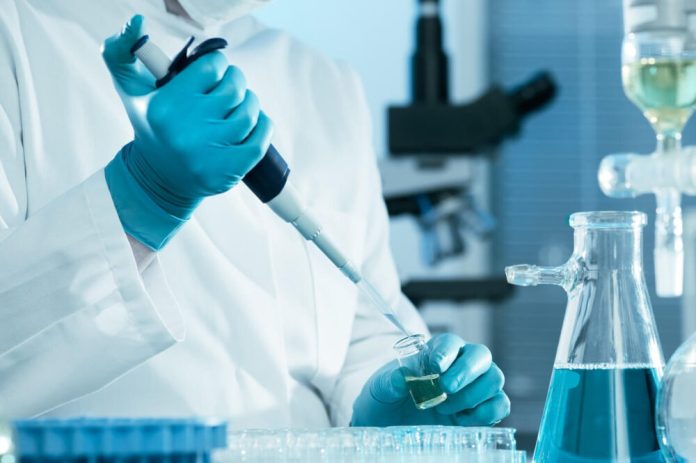 Вчені винайшли кишкові бактерії, що приборкують тягу до цукру