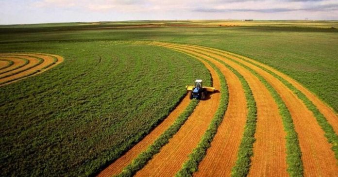 Де в Україні найдорожча земля: ціни сягають понад 120 тис. грн за гектар