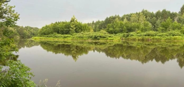 Як живуть риби в зоні відчуження: результати досліджень Чорнобильського заповідника