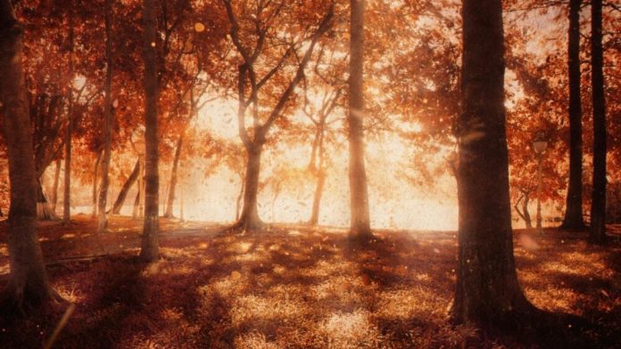 Свята 16 вересня в Україні та світі