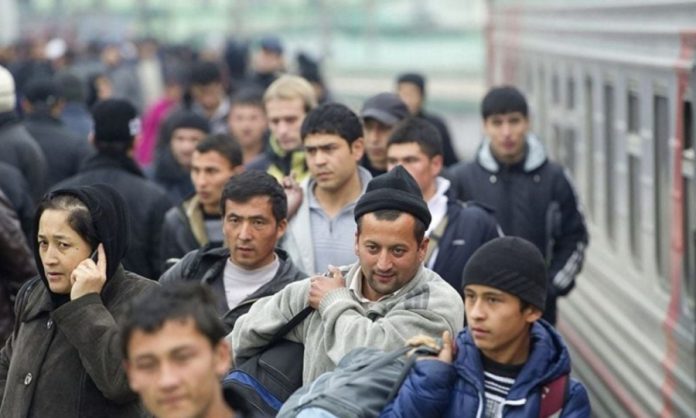 Зростання трудової міграції як фактор відбудови України: виклики та можливості