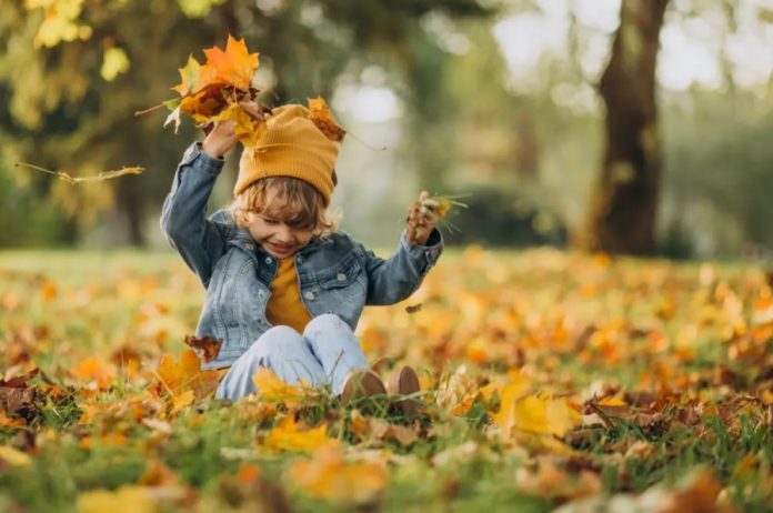 1 листопада: важливі події та традиції 1 листопада: важливі події та традиції