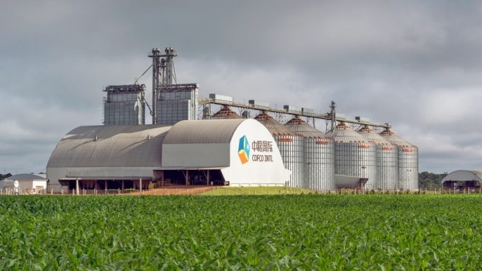 COFCO у центрі фінансового скандалу: звинувачення у фіктивних зернових операціях та офшорних схемах