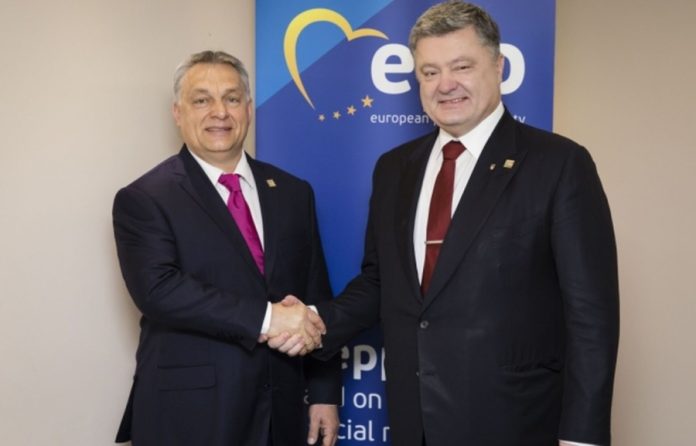 Нове бачення розвитку української культури та традицій у сучасному світі Нове бачення розвитку української культури та традицій у сучасному світі