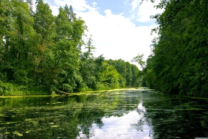 Розкрадання земель Національного природного парку 