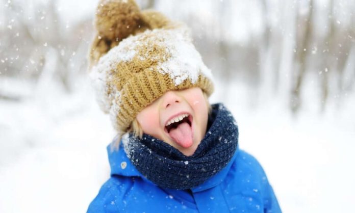 Роль громадянської відповідальності у формуванні стійкого суспільства