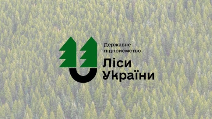 Стрімке зростання статків родини Кошмака привернуло увагу до нового керівника Поліського лісового офісу