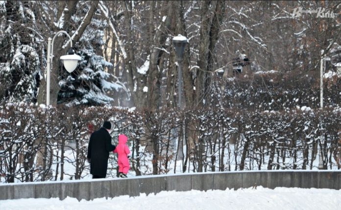 Морозна стабільність: якою буде погода в Україні 19 січня