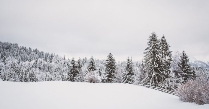 Морози без опадів: синоптики попереджають про холодні та слизькі дні в Україні