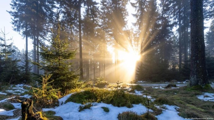 Поступове підвищення температури в Україні: прогнози на цей тиждень